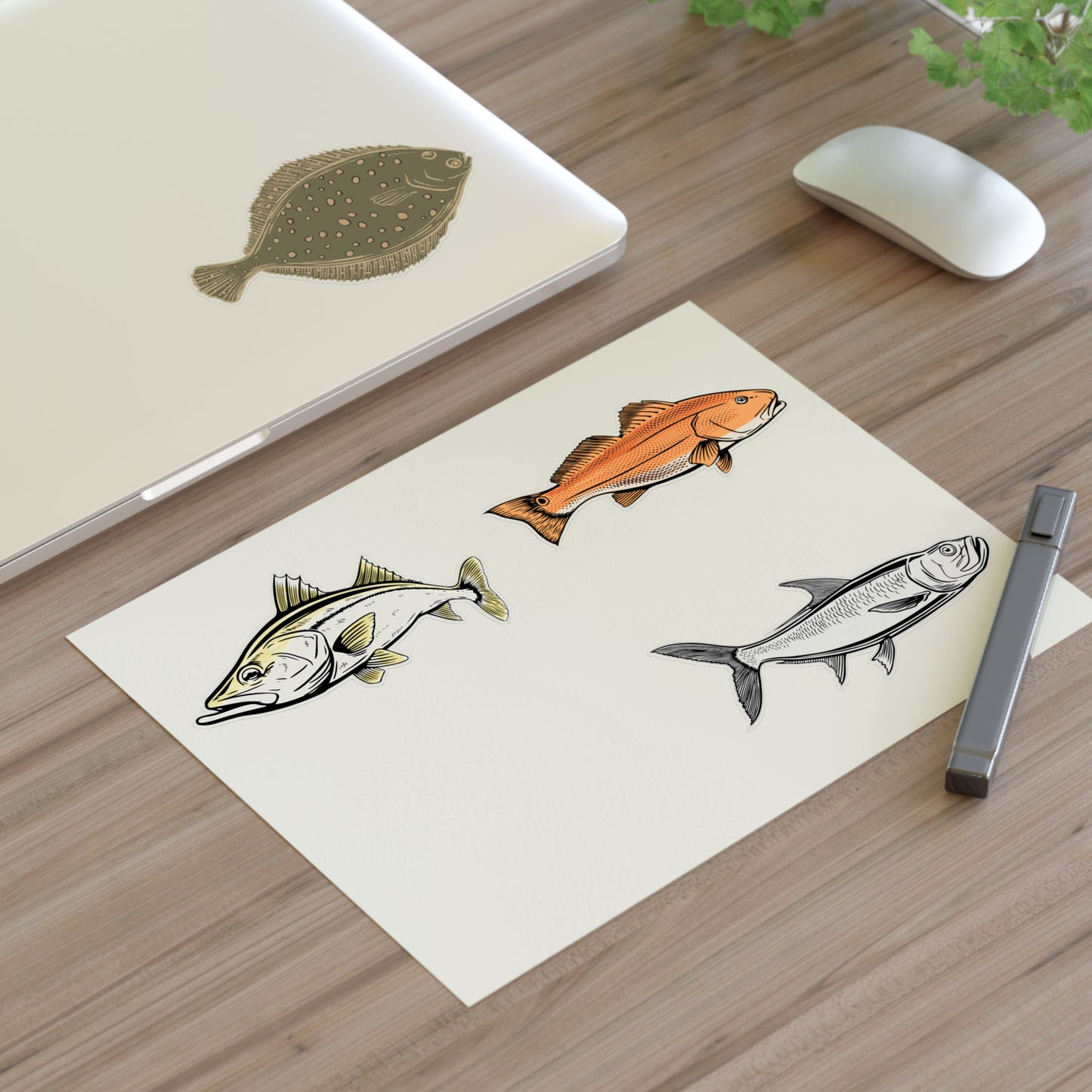 Inshore Species Sticker Sheet