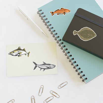 Inshore Species Sticker Sheet