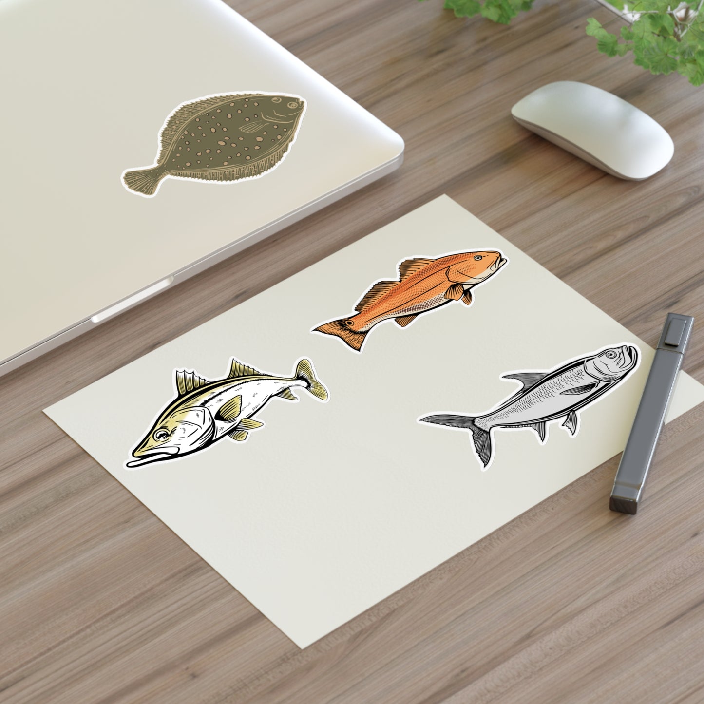 Inshore Species Sticker Sheet